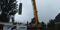 DSCF3807