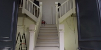 DSCF4188